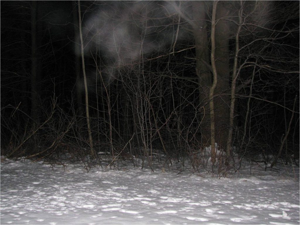 bucksteep manor (mist 2)